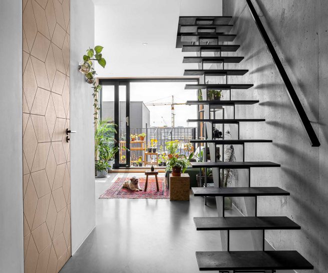 trap en hond in appartement