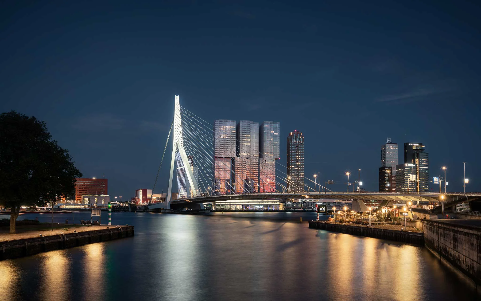 uitzicht op brug rotterdam